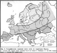 Географические вариации цвета волос на территории Европы (по В.П.Алексееву)